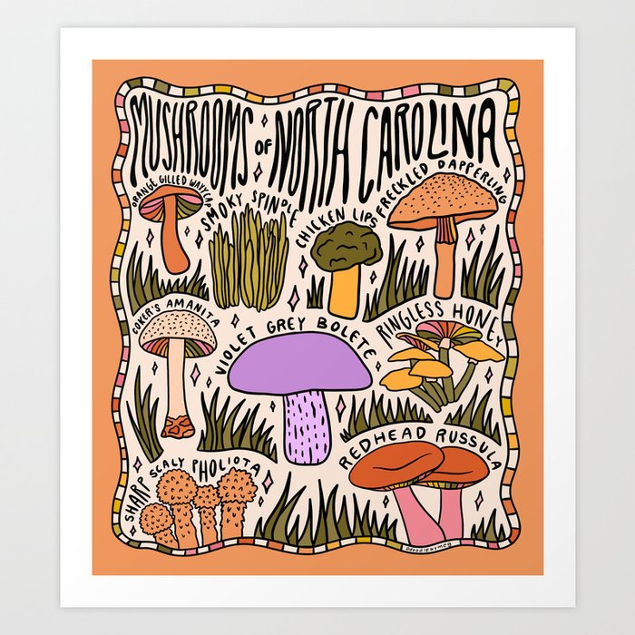 Mushrooms of North Carolina Art Print
