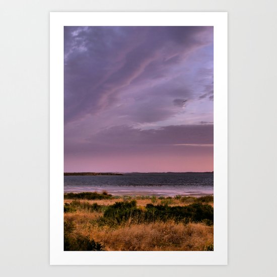Coorong Art Print