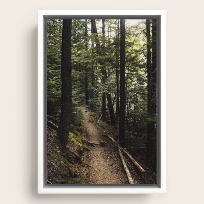 Framed Canvas