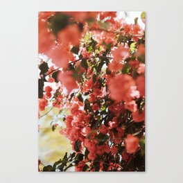 Southern Style Canvas Print