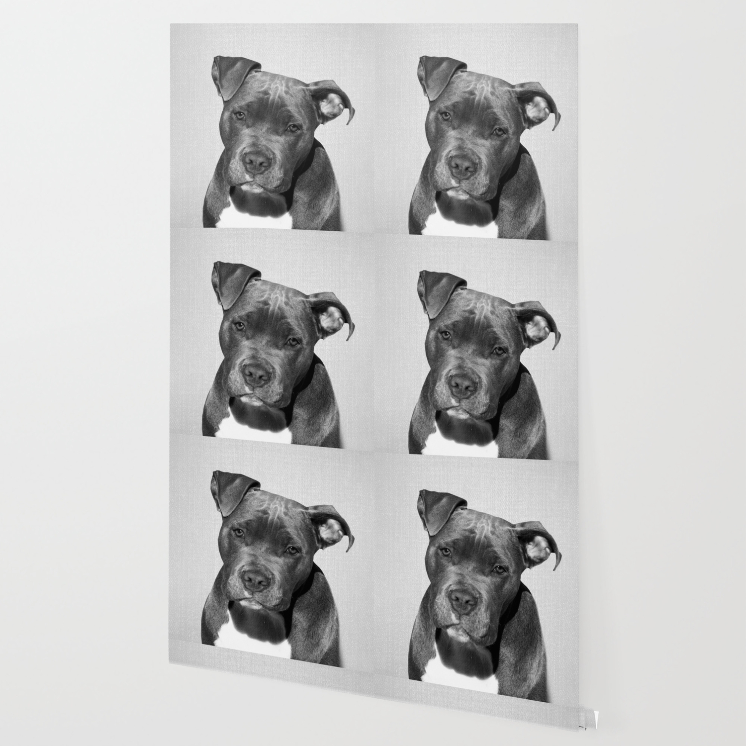 society6