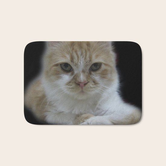 Cute Cat Bath Mat