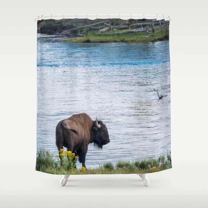 Buffalo On River Wildlife Yellowstone Park Print Shower Curtain