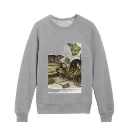 Brown rat, or Norway rat  from the viviparous quadrupeds of North America (1845) illustrated by John Woodhouse Audubon  Kids Crewneck