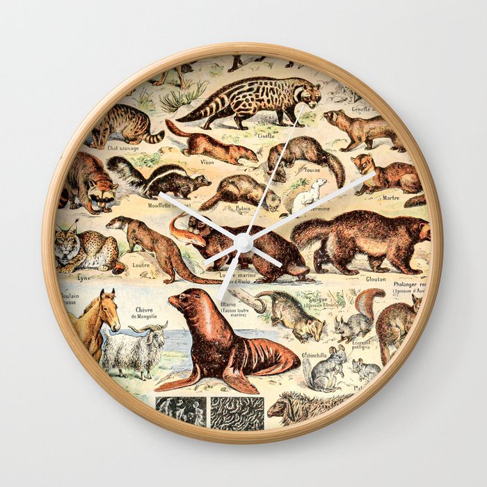 Cute Animals Fourrures By Adolphe Millot Xl 19th Century Science Textbook Diagram Artwork Wall Clock By Public Artography Society6