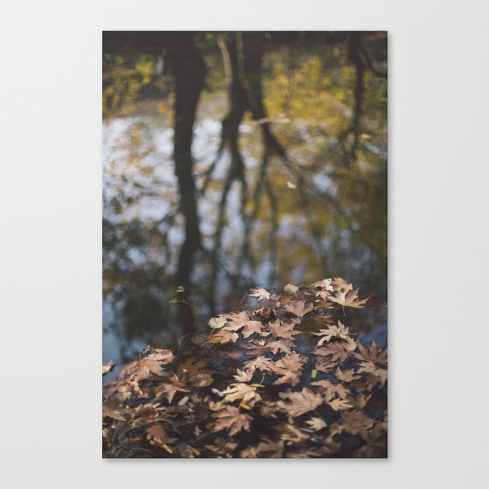 Leaves in the river Canvas Print