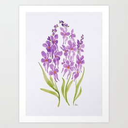 Orchids - Lilac Art Print