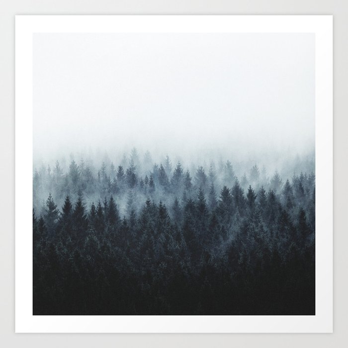 High And Low // Misty Fairytale Wilderness Forest With Cascadia Trees Covered In Magic Fog Series Art Print