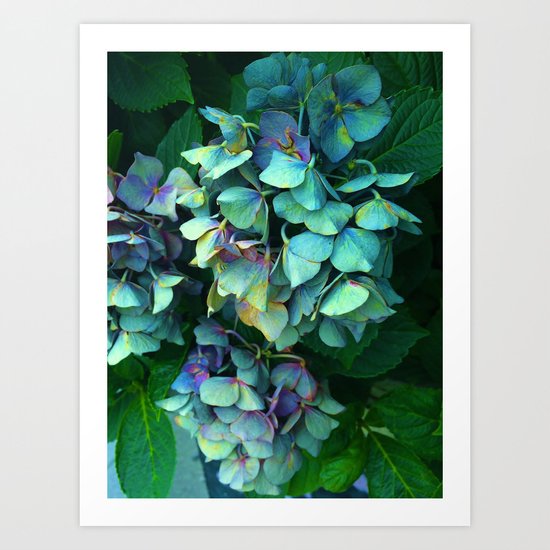 Treasure of Nature VII Art Print