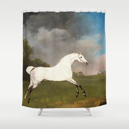 Grey Horse by George Stubbs Shower Curtain