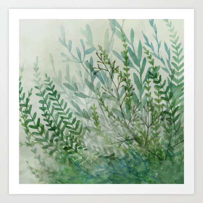 Ferns and Fog Art Print