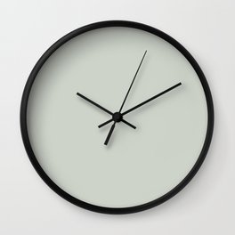 Pasture Green Gray Single Solid Color Coordinates with PPG Bay Of Fundy PPG10-07 Blue Persuasion Wall Clock
