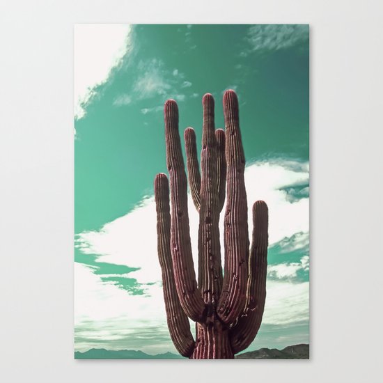 Saguaro Cactus Canvas Print