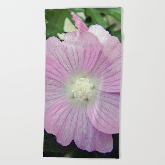 Pink Musk Mallow Beach Towel