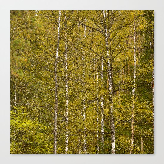 Autumn Forest Canvas Print