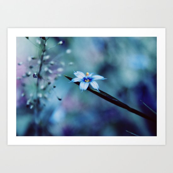 Beauty Within Art Print