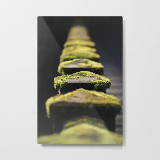 Mossy Metal Print