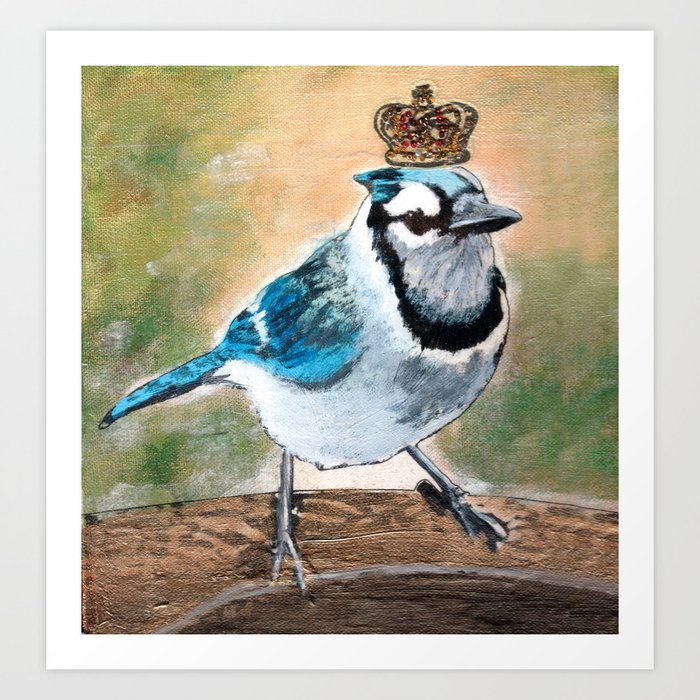 Royal Blue Jay Art Print