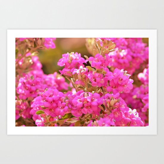 Pretty Pink Petals Art Print