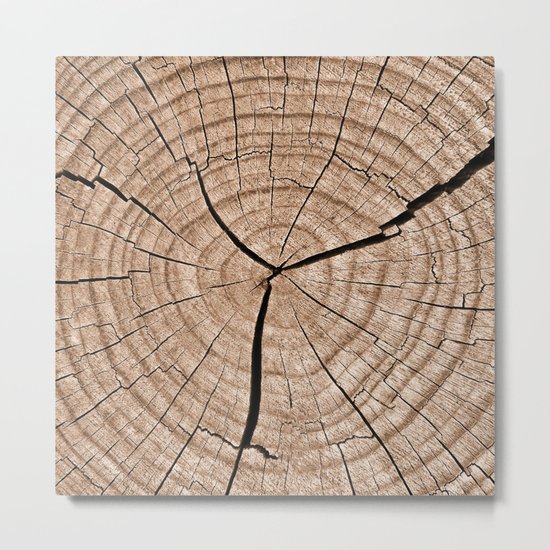 Tree Trunk Metal Print