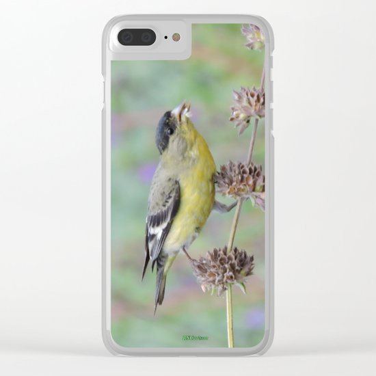 Lesser Goldfinch Snacks on Seeds Clear iPhone Case