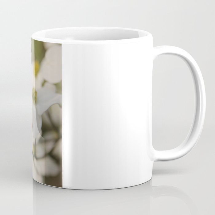 Dogwood Blossoms Coffee Mug
