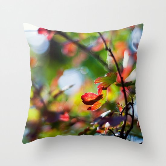 Autumn Rainbow Throw Pillow