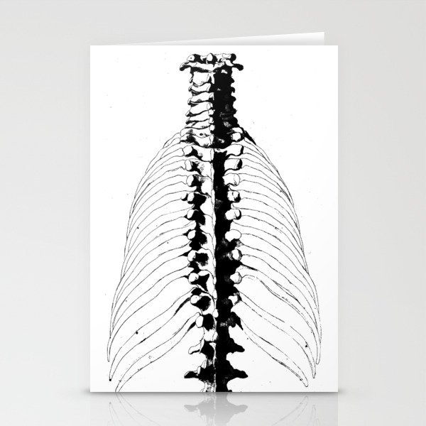 Skeleton Ribcage and Spine Stationery Cards