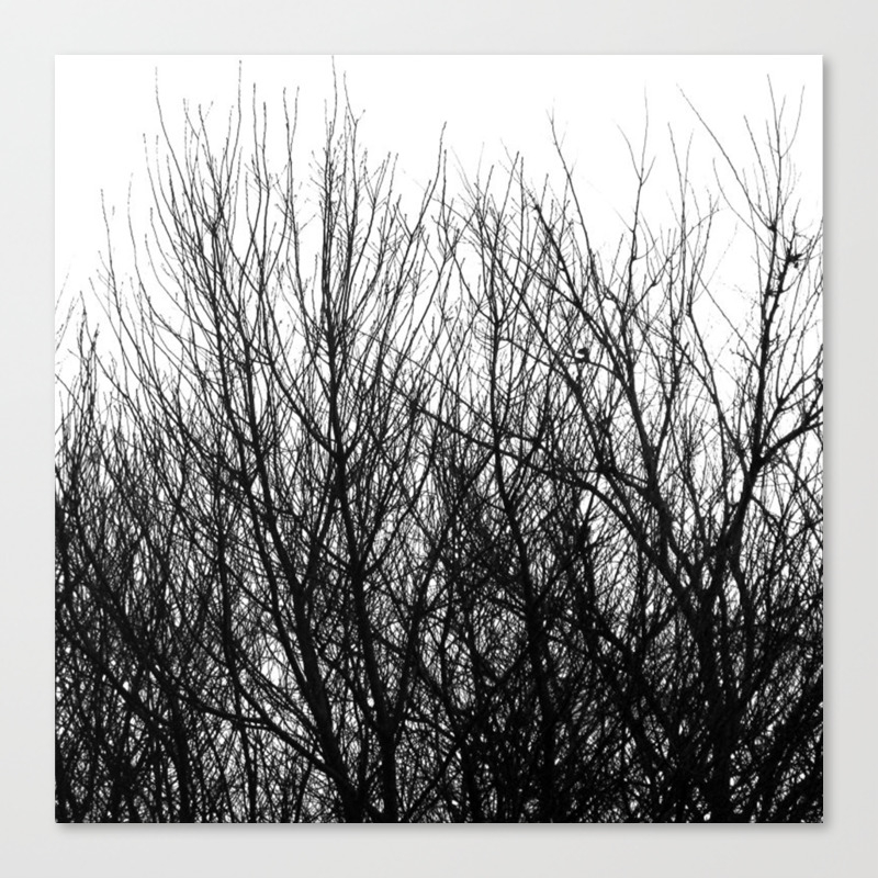 Black White Modern Abstract Tree Branch Pattern Canvas Print By