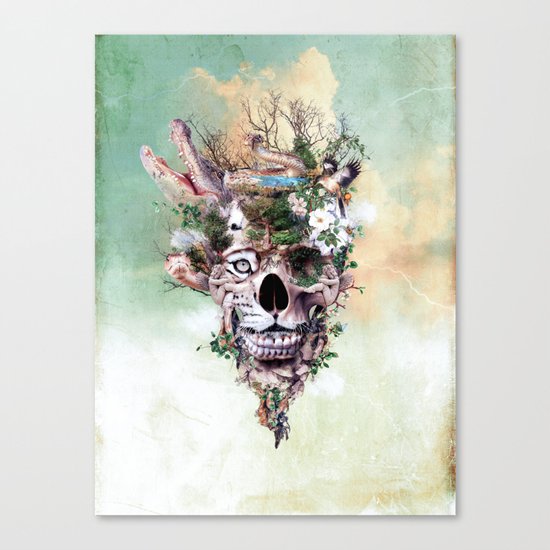 Nature Skull II Canvas Print