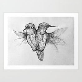 Conjoined Hummingbirds Art Print