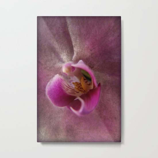 Orchid 2 Metal Print