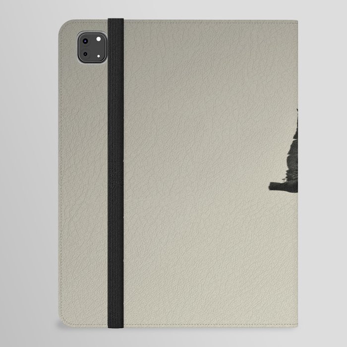 Stealth iPad Folio Case