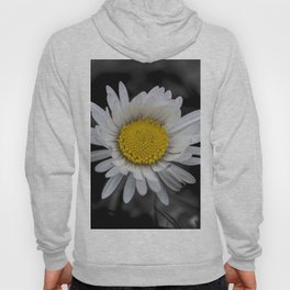 White daisy on black background  Hoody