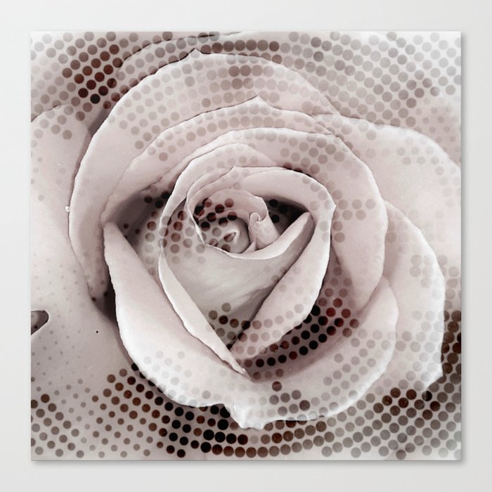 Faded pink cyber rose Canvas Print