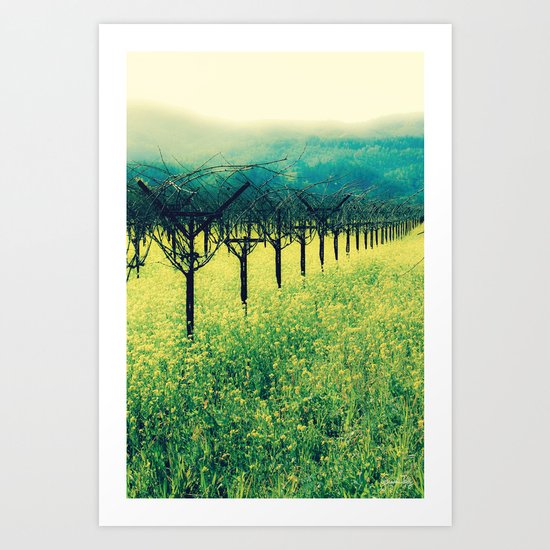 Winter Vineyard I - Serenity Art Print