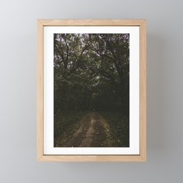 Road to the Woods Framed Mini Art Print