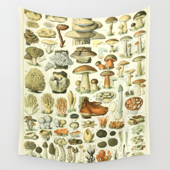 Mushroom deals chart tapestry