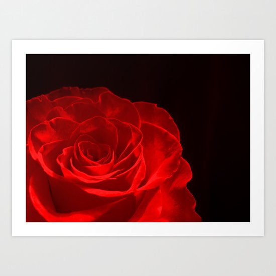 Rose Red Art Print