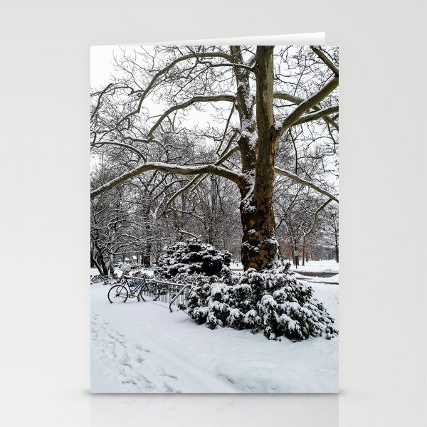 Winter Shade Stationery Cards