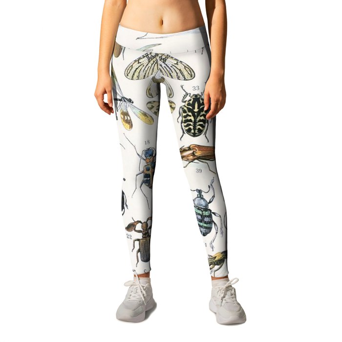 Insects 2 by Adolphe Millot Leggings