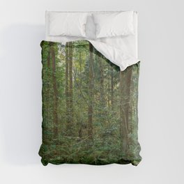 Morning sunlight in a wild  forest Comforter