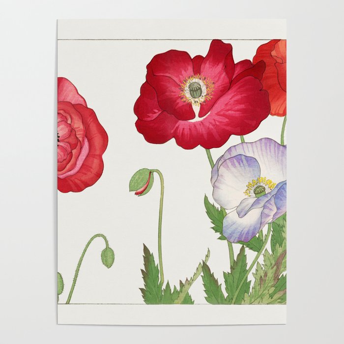 Japanese Vintage Red Poppies Watercolor  Poster