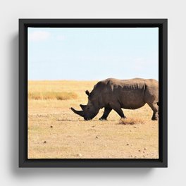 South Africa Photography - Rhino At The Dry Empty Savannah Framed Canvas