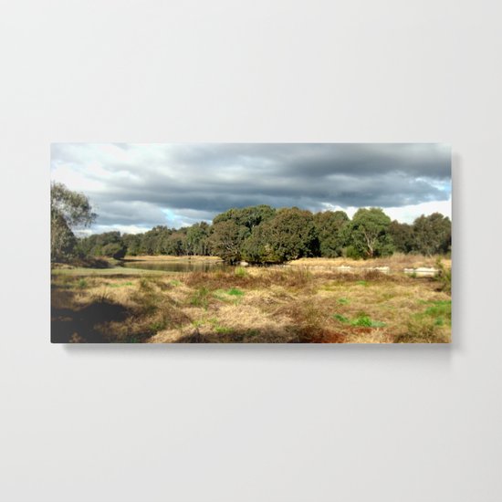 Swamp - Heritage Trail Metal Print