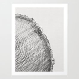 Modern Farmhouse Rustic Backyard Tree Rings No.1 Art Print | Crosssection, Rings, Black And White, Gray, Neutral, Modern, Natural, Digital, Photo, Monotone 