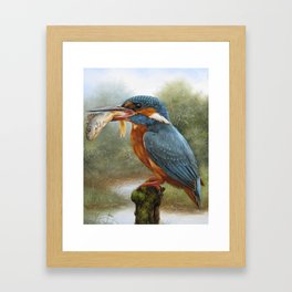 The fish king Framed Art Print