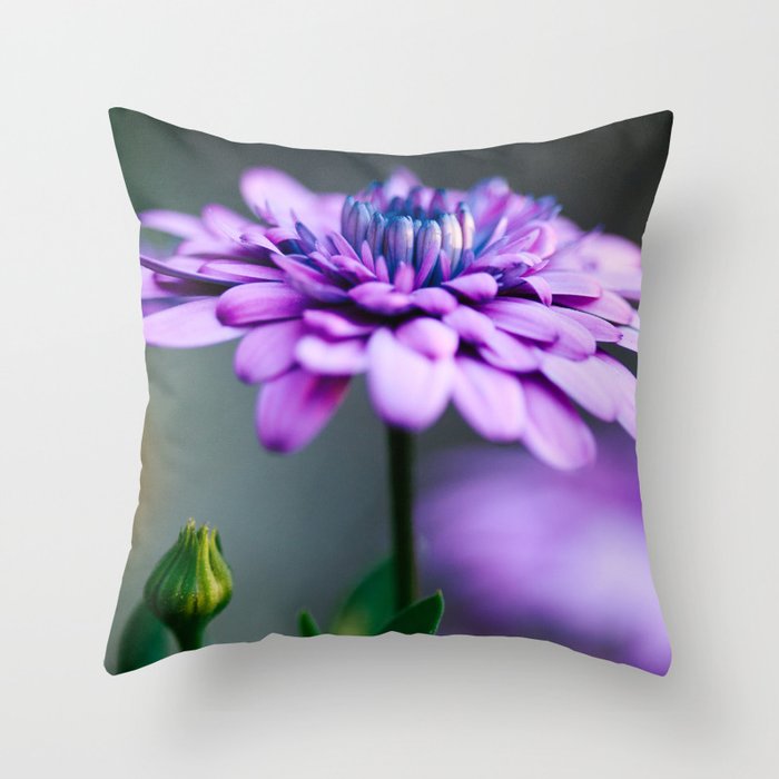 Cloud Nine Throw Pillow By Alexhawkphoto Society6
