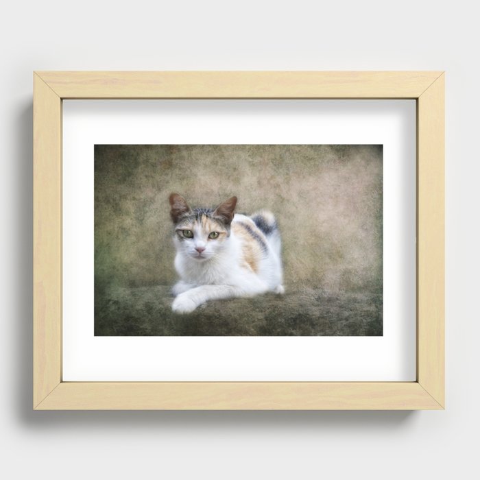 kitty cat Recessed Framed Print