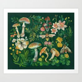 Mushrooms Dandelion Garden Art Print